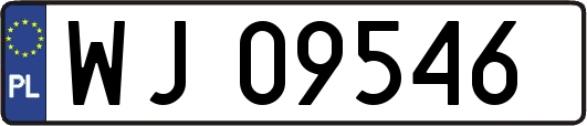 WJ09546