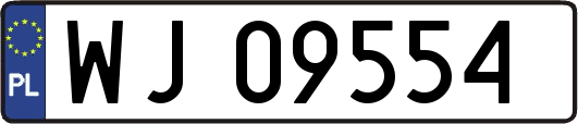 WJ09554
