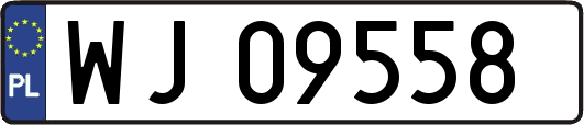 WJ09558
