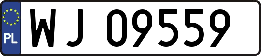WJ09559