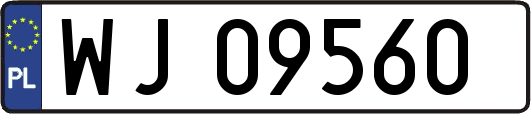 WJ09560