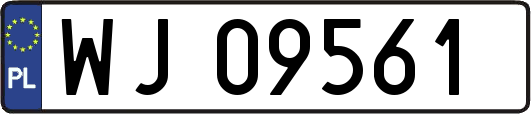 WJ09561
