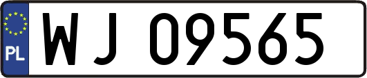 WJ09565