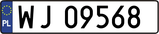 WJ09568