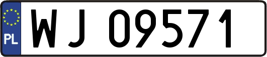 WJ09571