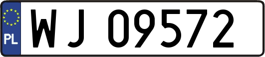 WJ09572