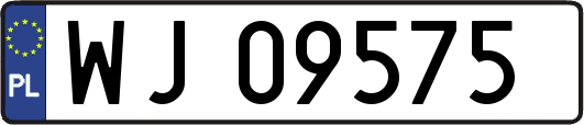 WJ09575