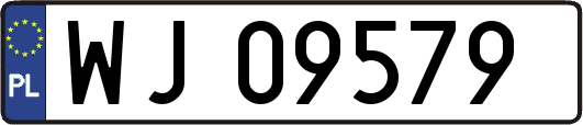 WJ09579