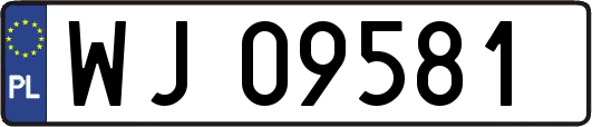 WJ09581