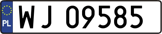 WJ09585