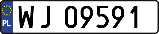 WJ09591