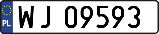 WJ09593