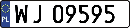 WJ09595