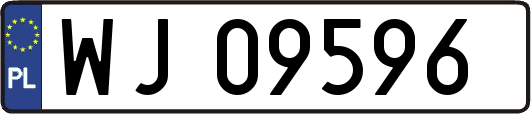 WJ09596