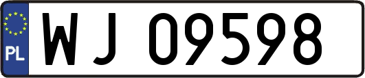 WJ09598