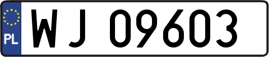 WJ09603