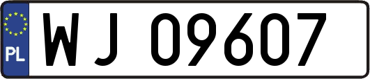 WJ09607