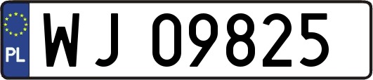 WJ09825