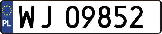 WJ09852