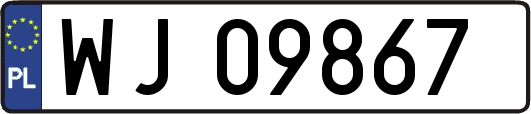 WJ09867
