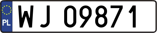 WJ09871
