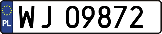 WJ09872