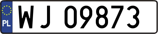 WJ09873