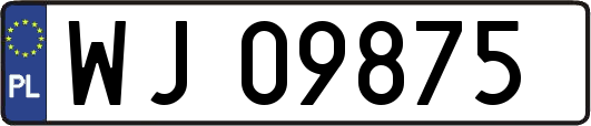 WJ09875