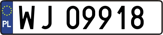 WJ09918