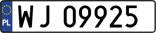 WJ09925