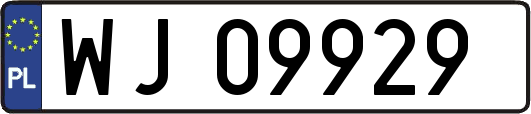 WJ09929