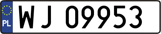 WJ09953