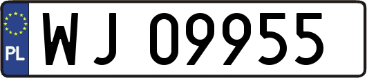 WJ09955