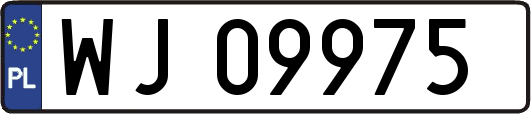 WJ09975