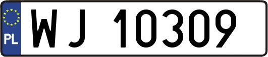 WJ10309