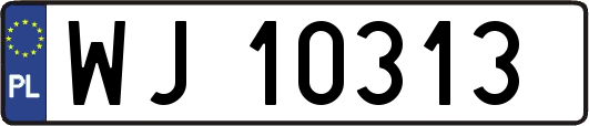 WJ10313