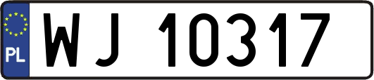 WJ10317