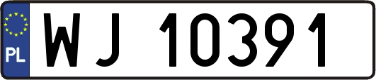 WJ10391