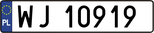 WJ10919