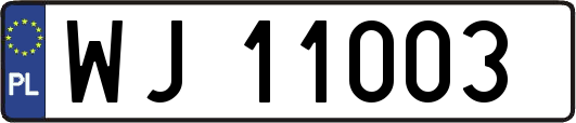 WJ11003