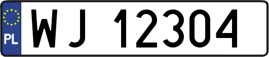 WJ12304