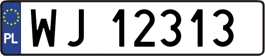 WJ12313