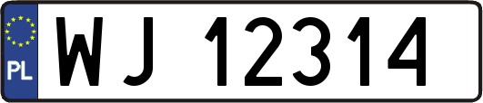 WJ12314