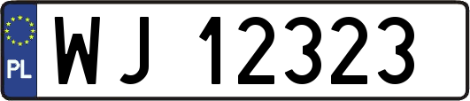 WJ12323