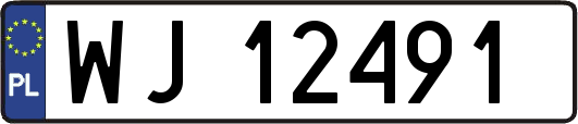 WJ12491