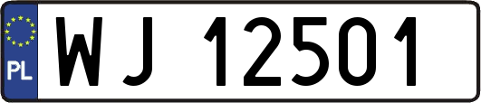 WJ12501