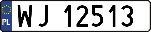 WJ12513