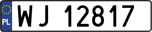 WJ12817