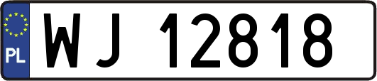 WJ12818