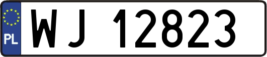 WJ12823